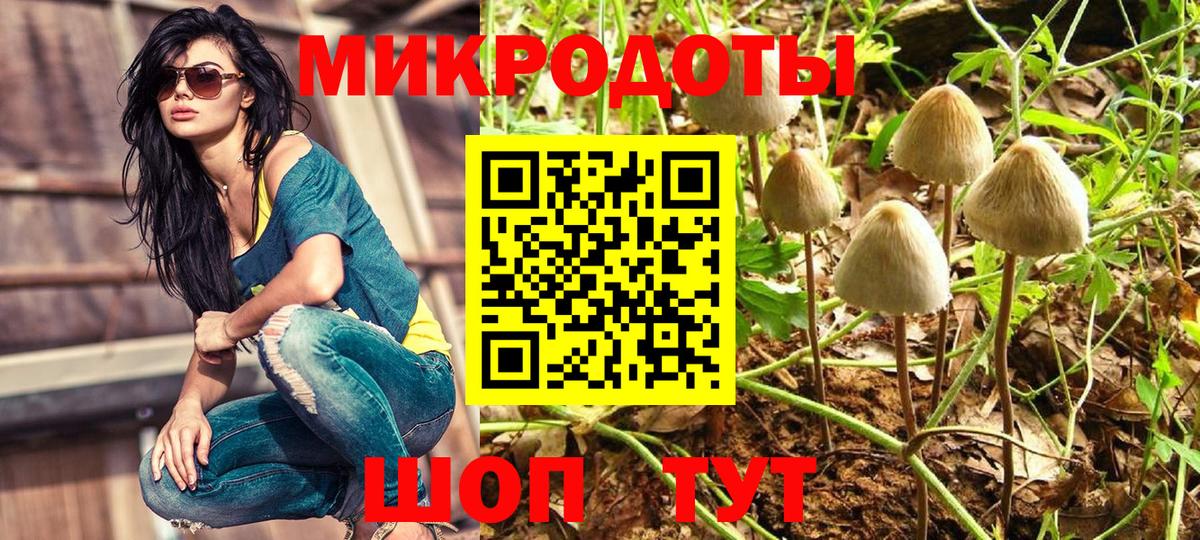 Галлюциногенные грибы Psilocybine cubensis  Вход с VPN  Урус-Мартан 