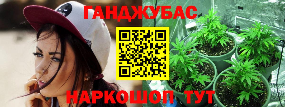 Бошки марихуана MAZAR Урус-Мартан